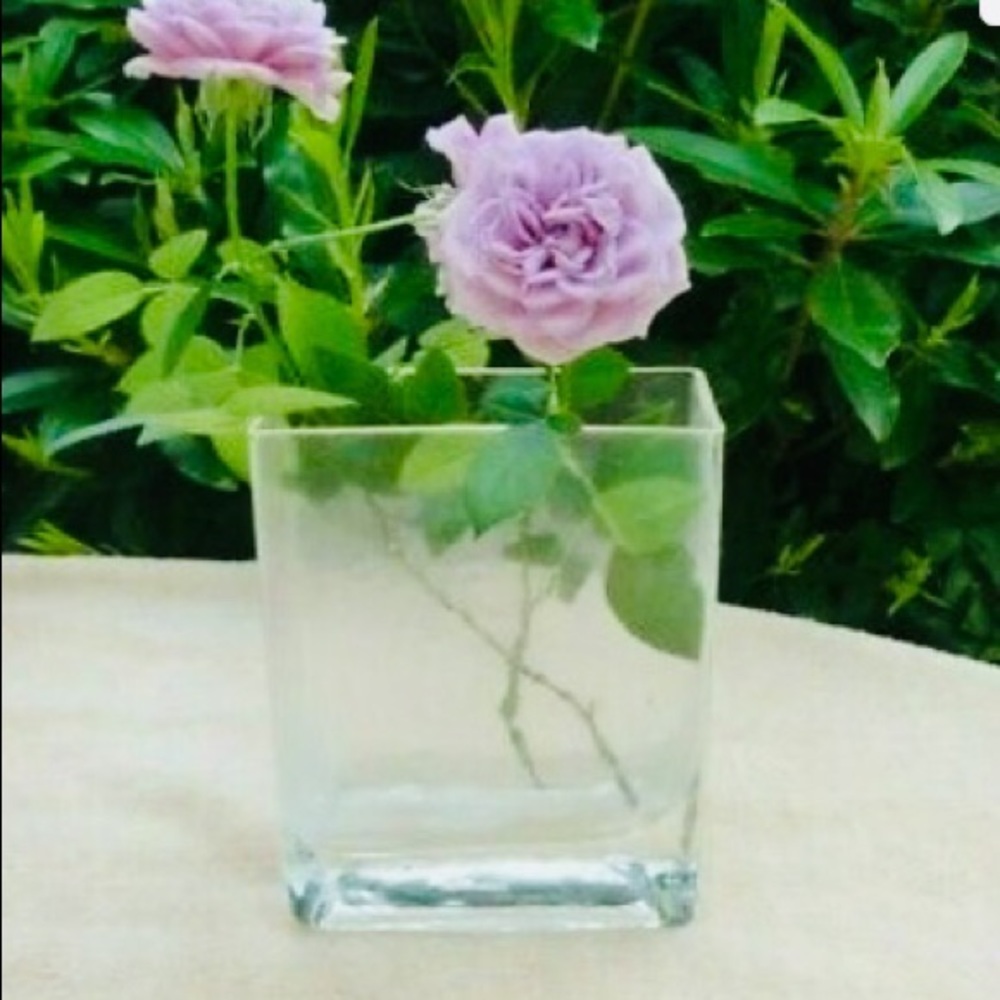 SLAH Our Versatile Vase Super Thick Wavy Glass New No Box